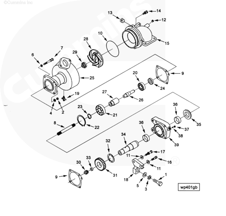 Water Pump | Cummins 3098967