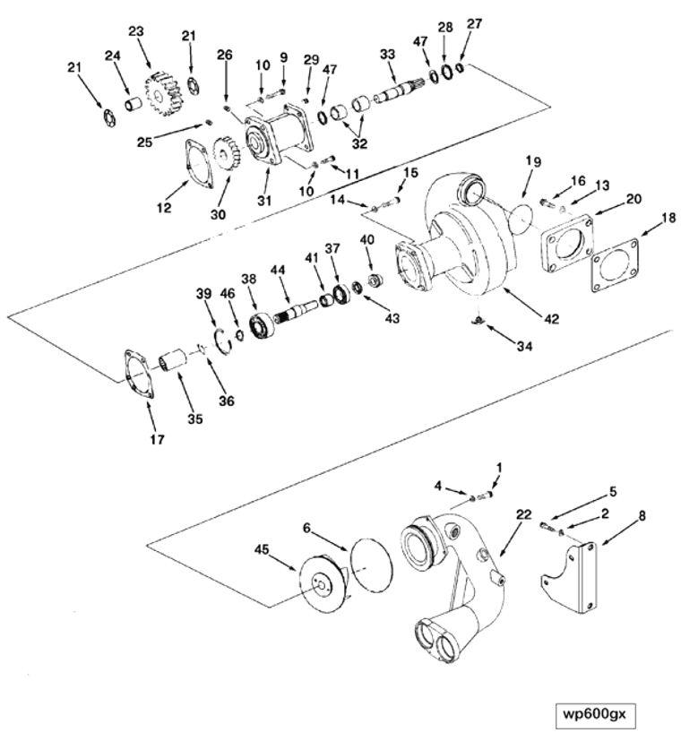 Water Pump | Cummins 3634029
