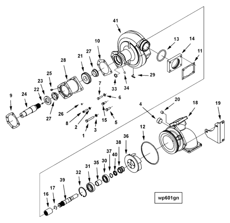 Water Pump | Cummins 3635809