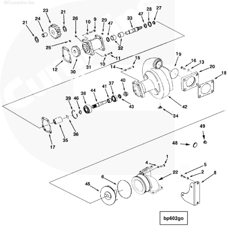 Water Pump | Cummins 3643967