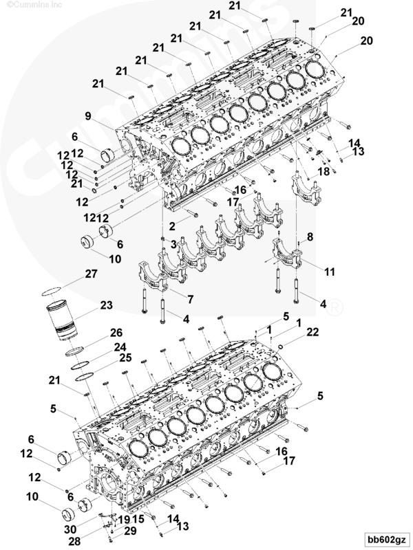 Cylinder Blok | Cummins 4373041